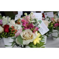 Power of Flowers Project logo - Similar company to Phantom Design