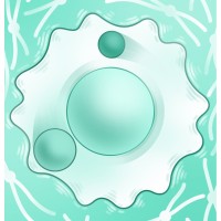 Al Jord Lab logo - Similar company to Majecules Llc.