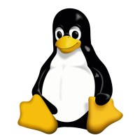 Linux Learning Centre logo - Similar company to Linux Learning Centre Ltd Kenya