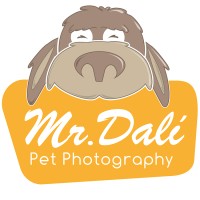 Mr.Dalí Pet Photography logo - Similar company to Lupitalab