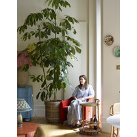 Studio Beleta logo - Similar company to Studio Clement