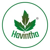 Havintha logo - Similar company to Patchup Accessories