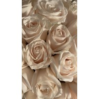 Oie logo - Similar company to Omsa