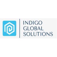 INDIGO GLOBAL SOLUTIONS MARINE DIŞ TIC.LTD. logo - Similar company to Salut Motors