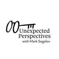 Unexpected Perspectives logo - Similar company to Secured