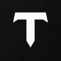 Tensor AI logo - Similar company to Addon Media Service