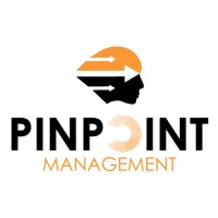 Pinpoint Management logo - Similar company to Dexterz-Tech