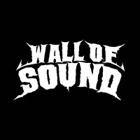 WALL OF SOUND NETWORK PTY LTD logo - Similar company to How Good
