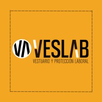 VESLAB.COM logo - Similar company to Prolaboral