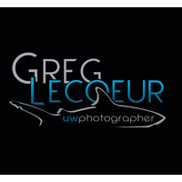 Ocean & Wildlife Photography logo - Similar company to Magazine Plongez !