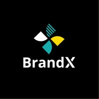 BrandX logo - Similar company to Brandx