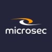 MICROSEC International Ltd logo - Similar company to Eict Ltd.