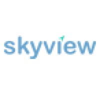Skyview Digital System Inc