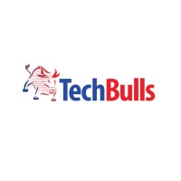 TechBulls Botswana logo - Similar company to Techbulls