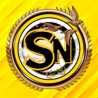 SN Enterprises logo - Similar company to G Cube Studios
