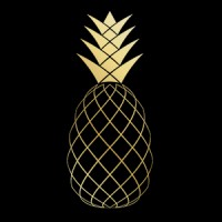 Black Pineapple Co. logo - Similar company to Air Vision Systems