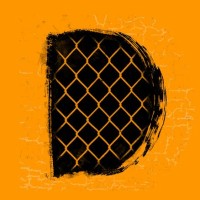Domynyo logo - Similar company to Integra Evolution Srl