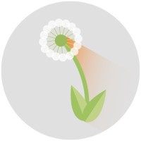 University of Tennessee Weed Diagnostics Center logo - Similar company to Hound Ears Club