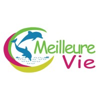 Cabinet Meilleure Vie logo - Similar company to Youth Initiative For Land In Africa ( Yilaa)