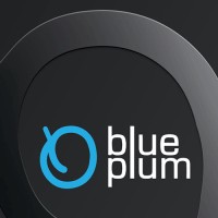 Blue Plum logo - Similar company to Fount Inc