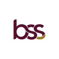 BSS logo - Similar company to Bss