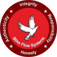 Bliss Flow Systems Group logo - Similar company to Ds Controls