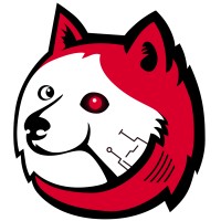 Supa Doge logo - Similar company to Swapy.One - International Escrow Transfers
