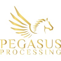 PEGASUS PROCESSING logo - Similar company to Audio Plus