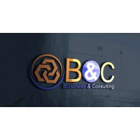 CKDS Consulting Pvt Ltd. logo - Similar company to Tripfriday