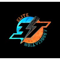 ELITE Assosiation logo - Similar company to Transrail Lighting Limited Midc Devali