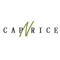 CAP N RICE logo - Similar company to Brl Exploitation