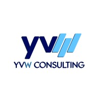 YVW Consulting BV logo - Similar company to Deltanexx