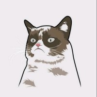 MEME logo - Similar company to Meme