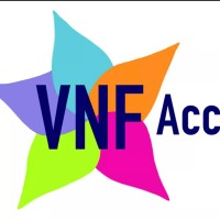 VNF Accounting logo - Similar company to Boogles Bookkeepers