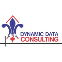 Dynamic Data Consulting logo - Similar company to Omari Consulting Services Limited