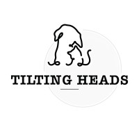 Tilting Heads logo - Similar company to Hrdescribed