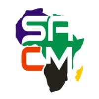 South Africa Chinese Museum logo - Similar company to Spitfire Restoration Project - Friends Of The Saaf Museum