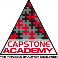 Capstone Academy logo - Similar company to Capstone Academy