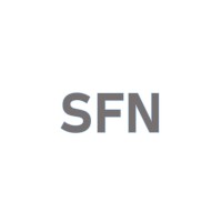 SFN consultants logo - Similar company to Hoshen Project Manager -  חושן ניהול פרויקטים