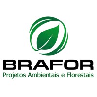 BRAFOR - Projetos Ambientais e Florestais logo - Similar company to Epoflora