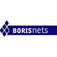 Boris Net Ltd logo - Similar company to Sng