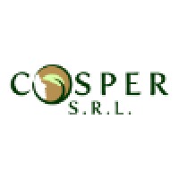 Cosper S.R.L. logo - Similar company to Freelancee