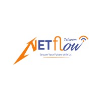 Netflow Telecom logo - Similar company to Elv Connect