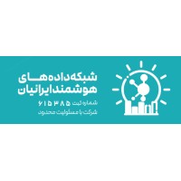 شبکه داده های هوشمند ایرانیان logo - Similar company to هلدینگ داده گستران وب ایده