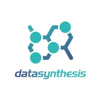 Datasynthesis Inc logo - Similar company to Voyager