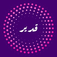 قدير لحلول الأعمال | Qadeer Solutions logo - Similar company to Amer International Group