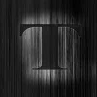 Talentum International logo - Similar company to Scaldia