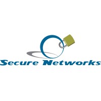 Secure Networks logo - Similar company to Systems Support Corp