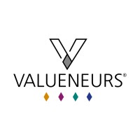 VALUENEURS® logo - Similar company to Optigrowth (Pty) Ltd