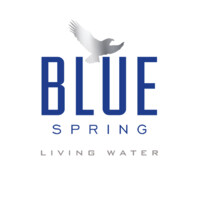 Blue Spring Living Water logo - Similar company to Red Jacket Solutions, Llc